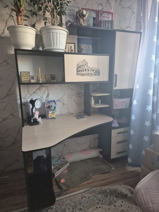 Письменный  стол с пеналом