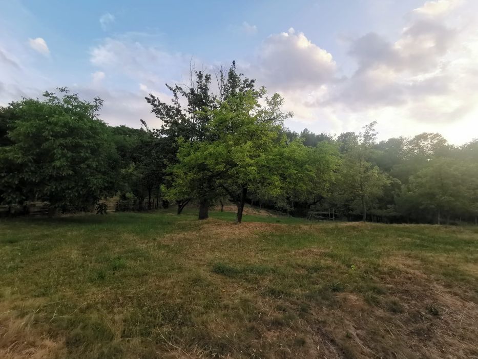 Casă de vânzare în Cacova Ierii, com. Iara