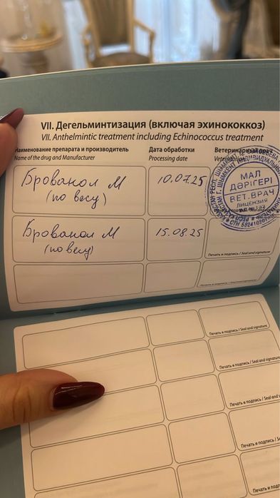 Продается мальтипу