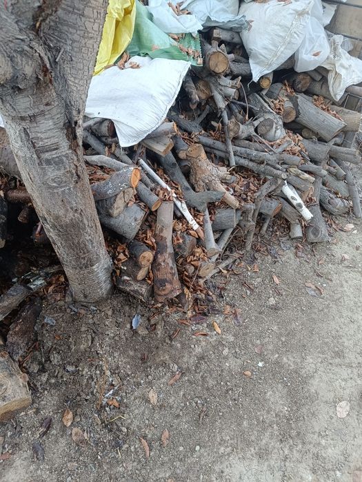 Otin sotaman Qopda mevali