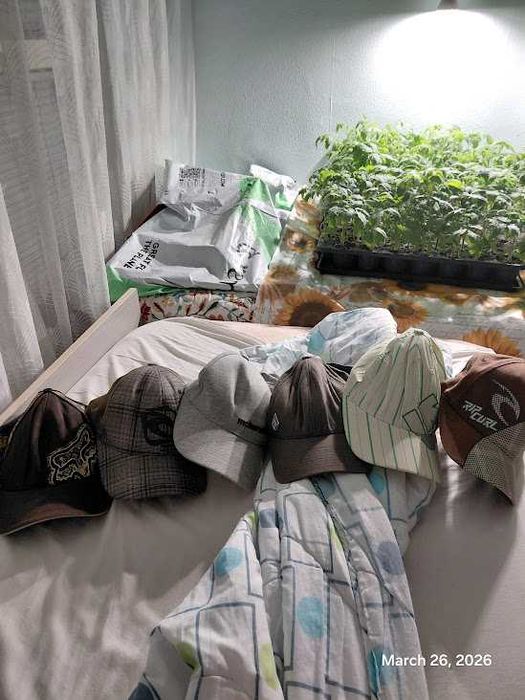 Шапки - Комплект от 6 броя