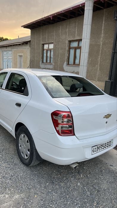 2019 Moshina bir qoʻl egadan