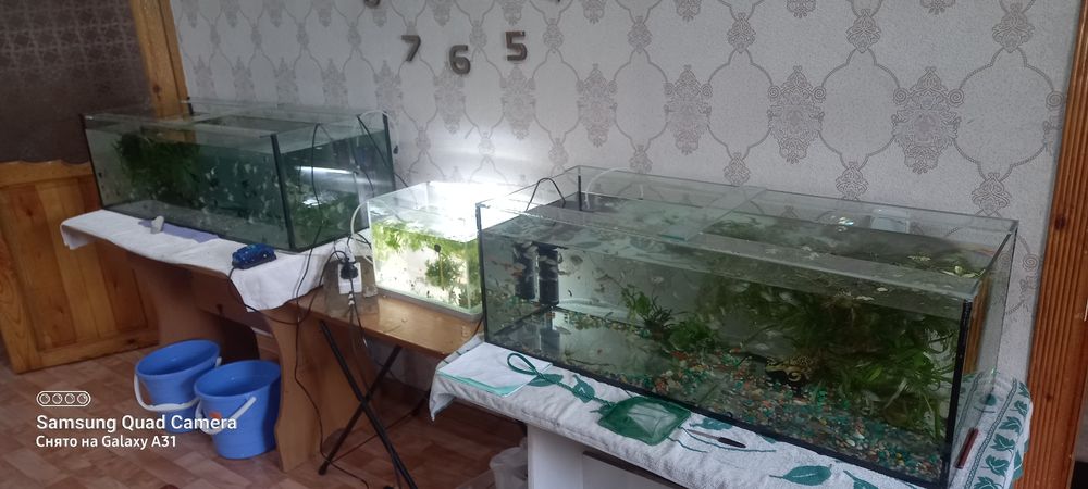 Аквариум .15.   20.  30. 50.