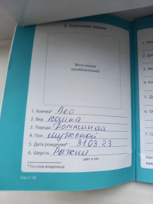 Отдам в добрые руки