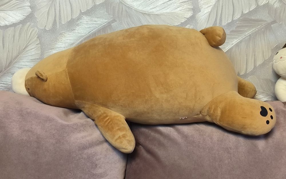 Большой медведь miniso