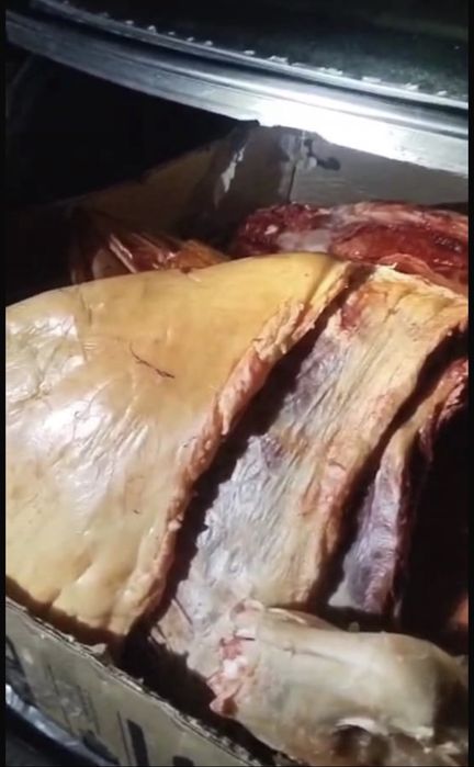 Жабағы сатыладыы семей