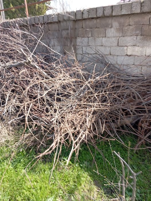 Отдам даром дрова