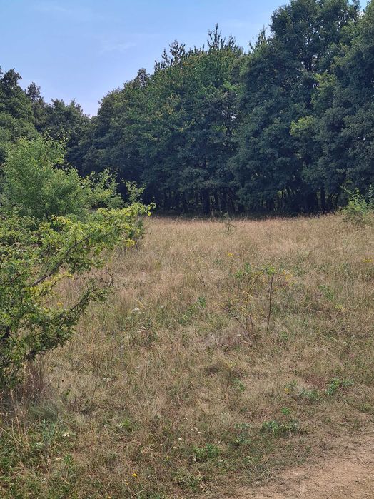 Vand teren extravilan 2500m2 in Salicea.