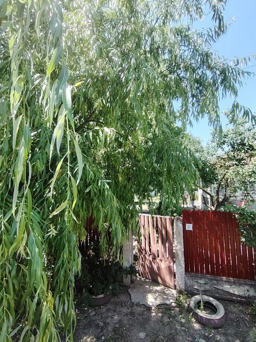 Casa de țara aproape de Bucuresti