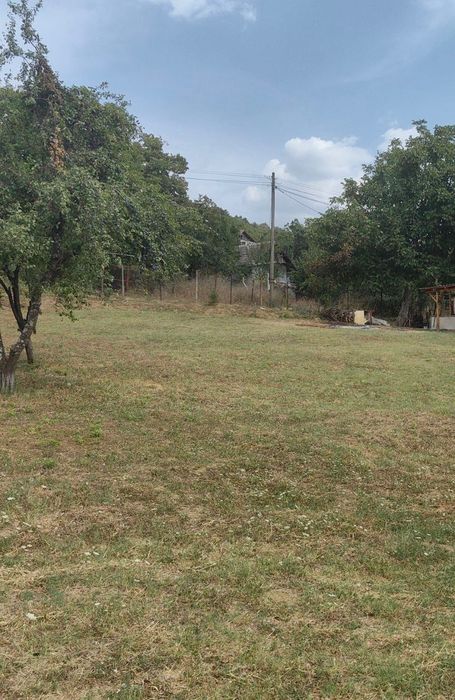 Враца - гора в местност ,,Дърводелци “