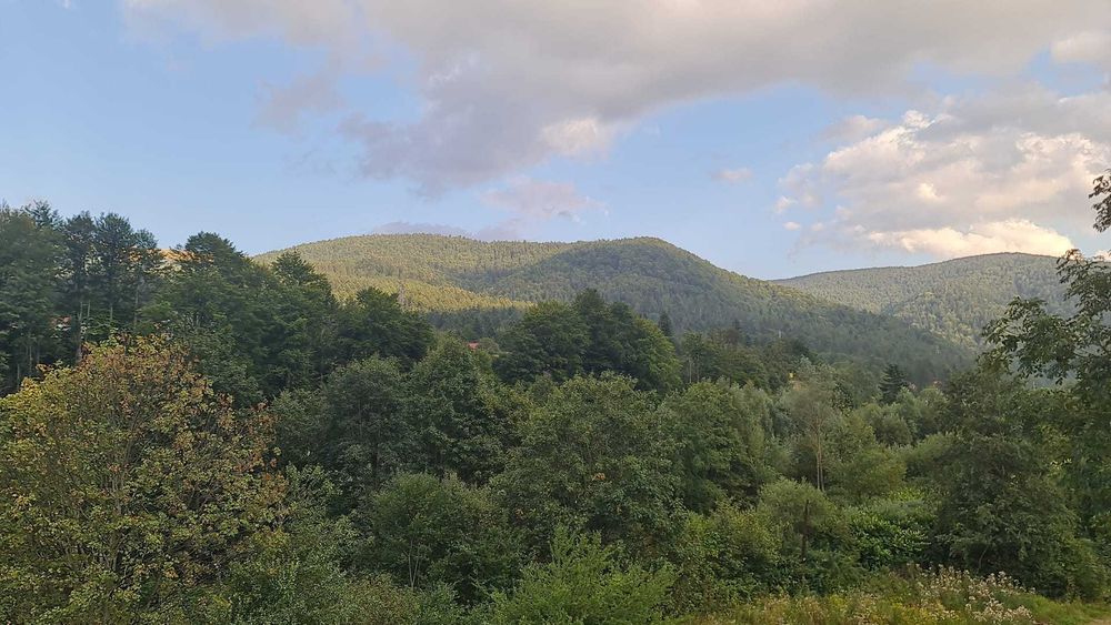 Apartament situat la mansarda langa sinaia platza