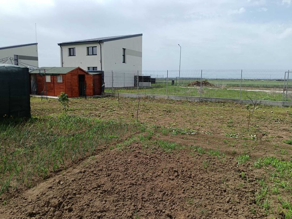 Vanzare teren Berceni - strada Sfanta Ana