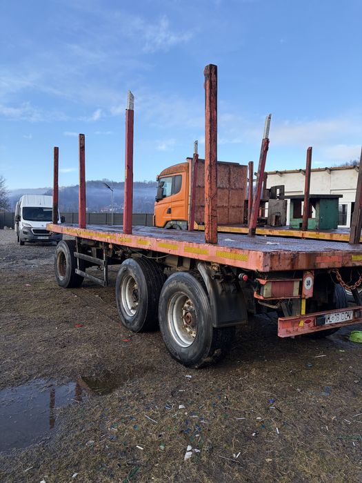 Automacara forestiera