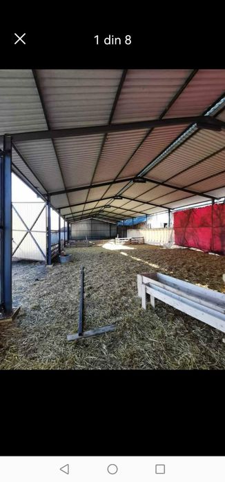 Vând hala metalica și structura metalica 10X20X4h la preț foarte bun