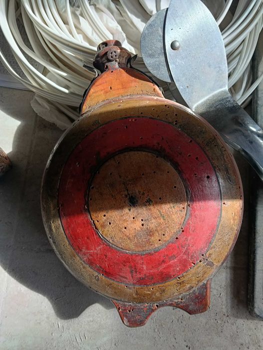 Бъклица, красива манерка