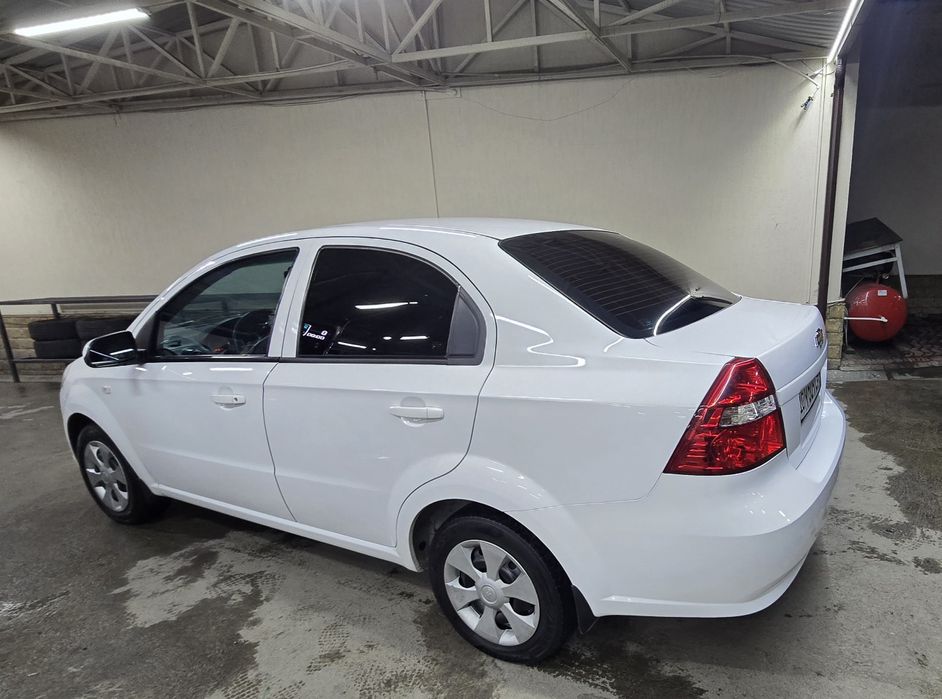 Nexia mexanika Gazi bor