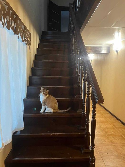 благоустроенный коттедж в черте города