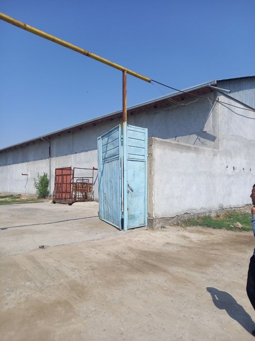 Tayyor molhona sotiladi