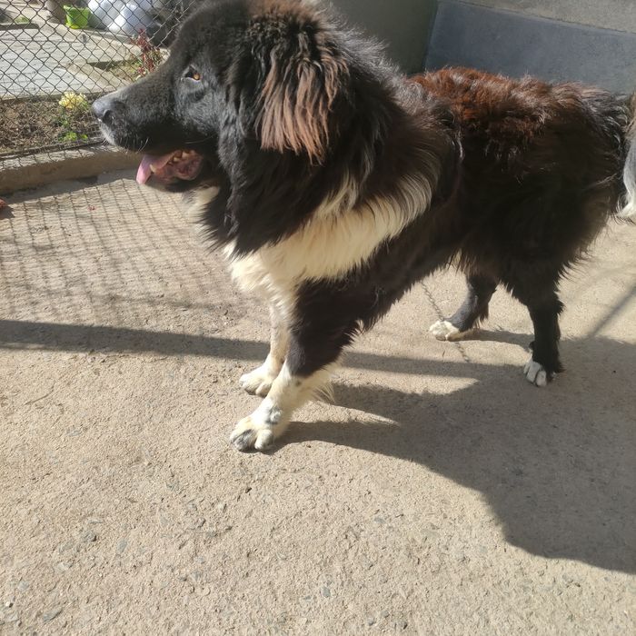 Продавам майка, баща и  син