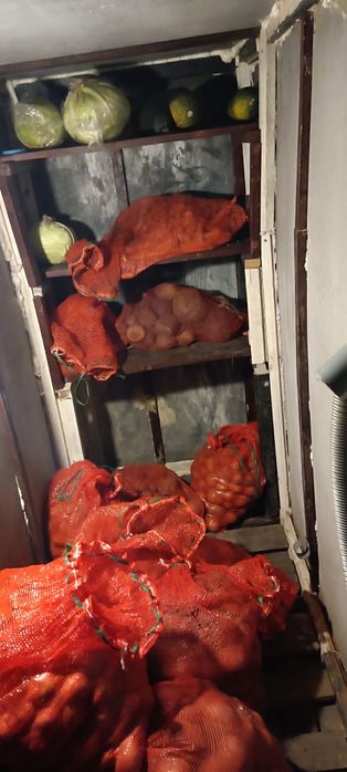 Продам дачу в сообществе Ромашка