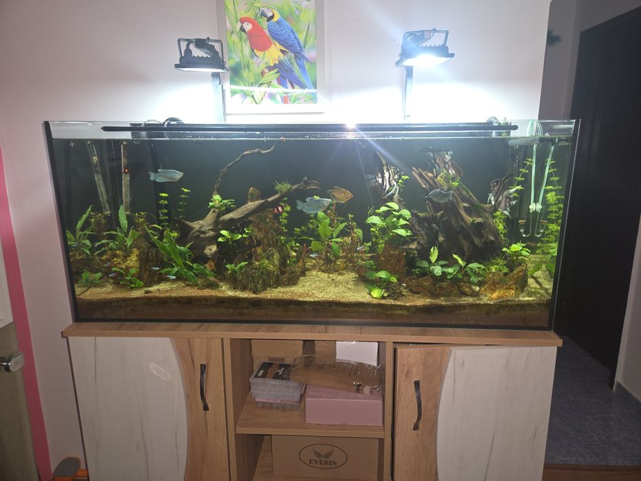 Carucior pf copii plante de acvariu si pesti de acvariu