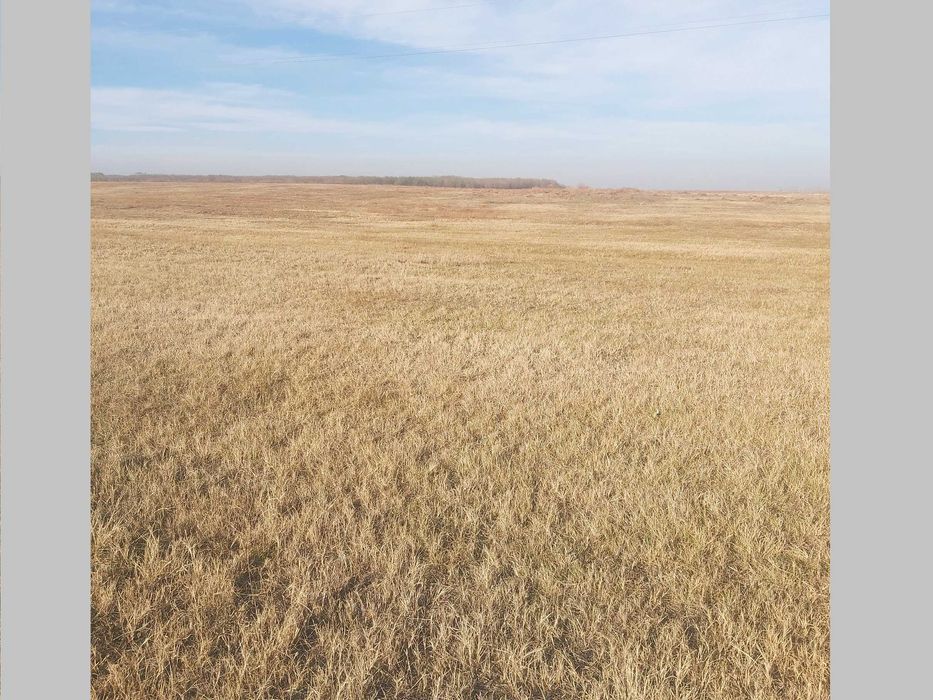 Teren arabil, agricol, extravilan comasat 3 ha zona Covei Bailesti  DJ