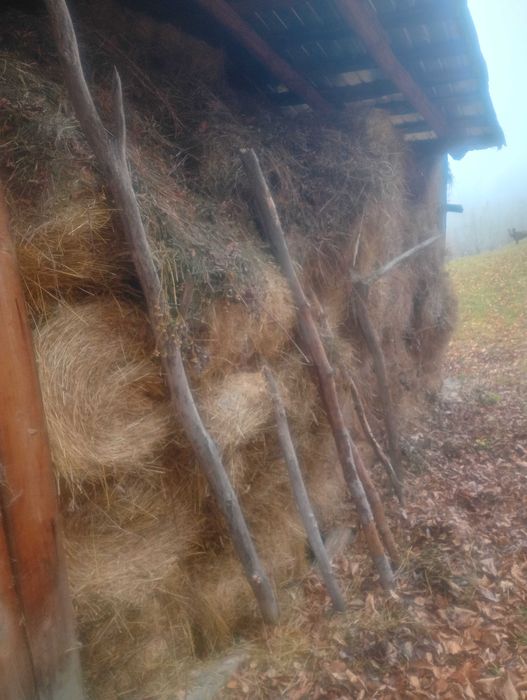 Vând baloți de fan