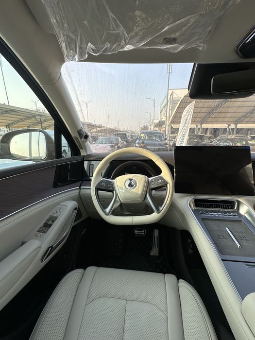 BYD Denza N9 e3 Flagship (Full) 2025 yangi