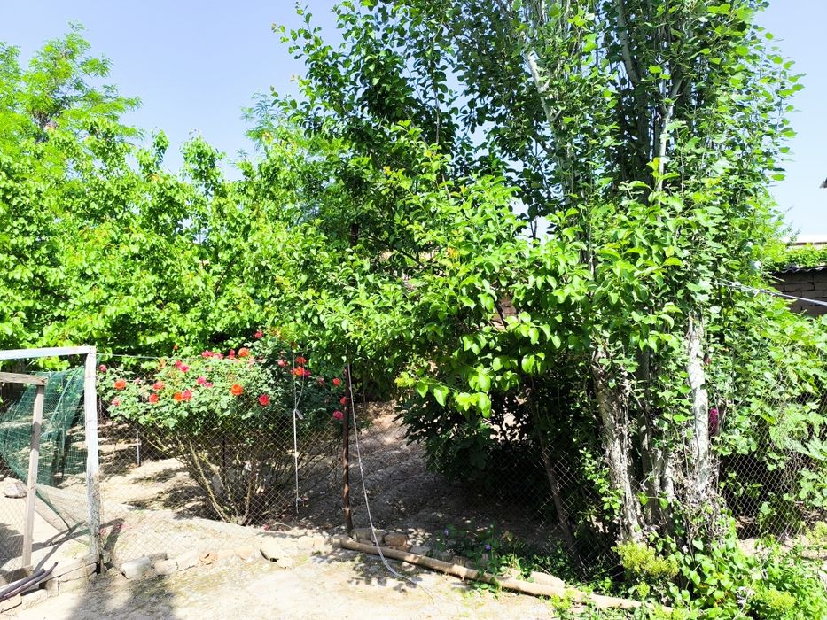 Uy sotiladi 8 sotix 12 hona suv svet bor uyni oʻzidaham Artezian bor