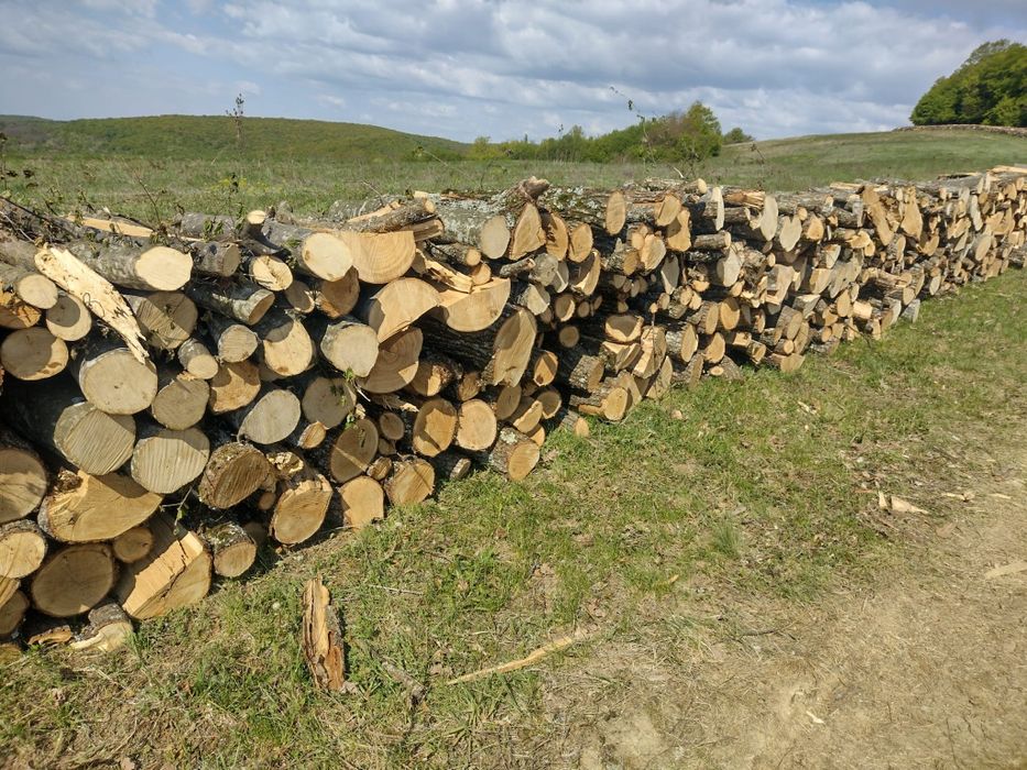 Lemne de foc esență tare