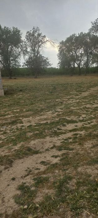 Er uchastkasi sotiladi M-39 da