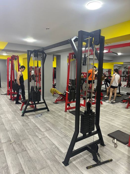 тренажеры от alpha sport и arsenal strength