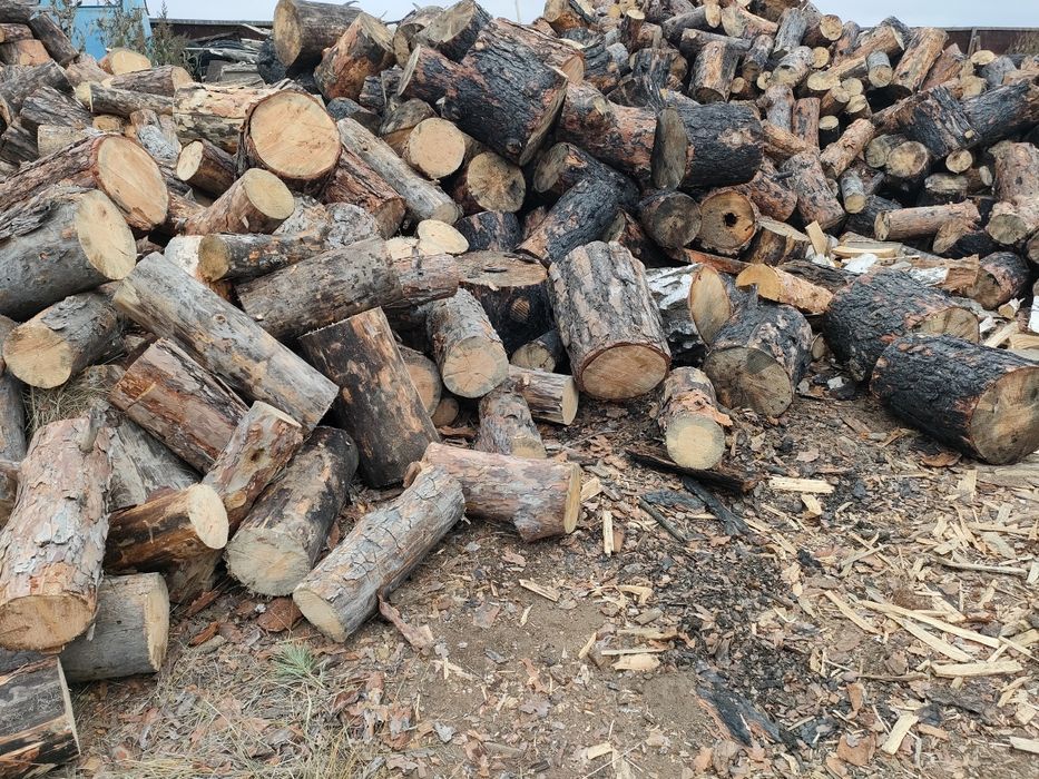 Дрова сосна сухие береза