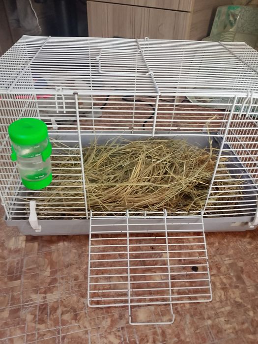 Продам клетку для морской свинки