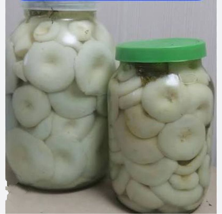 Грузди соленые .