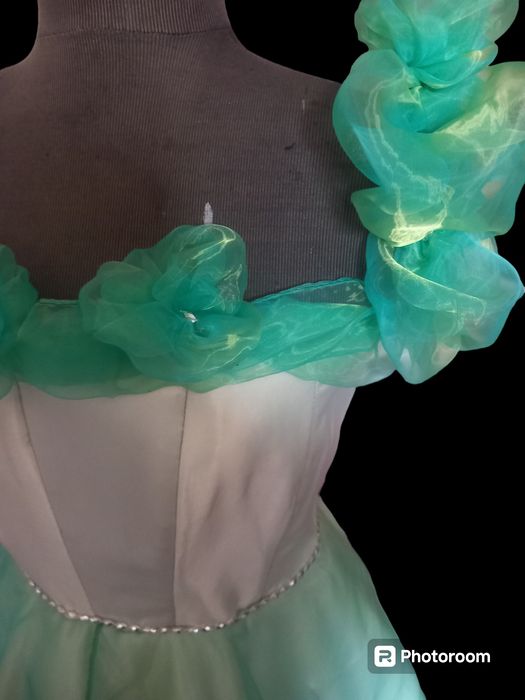 Rochita tafta și organza