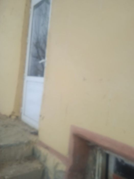 Xama sharoyitlarga ega