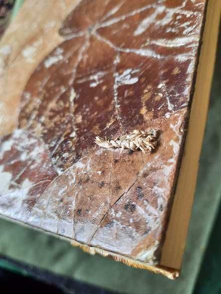 caiet pentru jurnal din gama cadouri tropicale