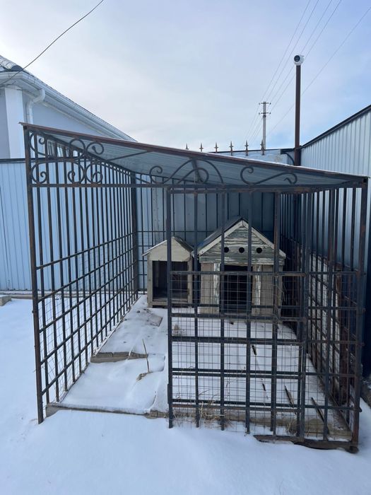 Барьер для собак