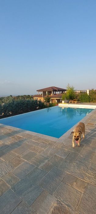 Гледане на животни (10г опит)