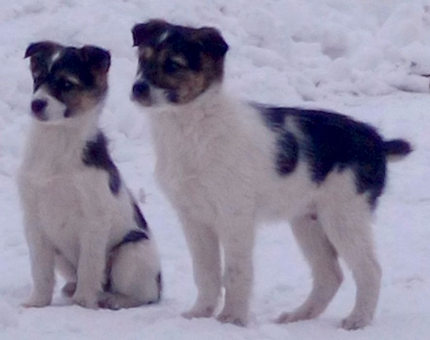 Мы хотим стать частью Вашей семьи)