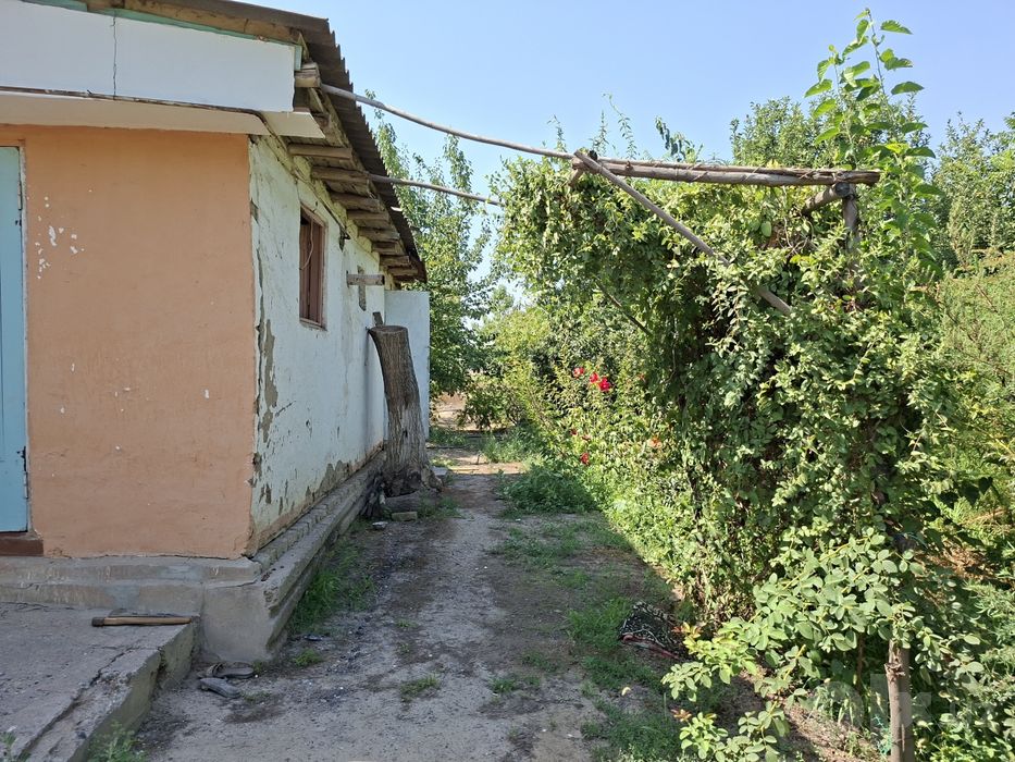 Andijon / Hovli sotiladi