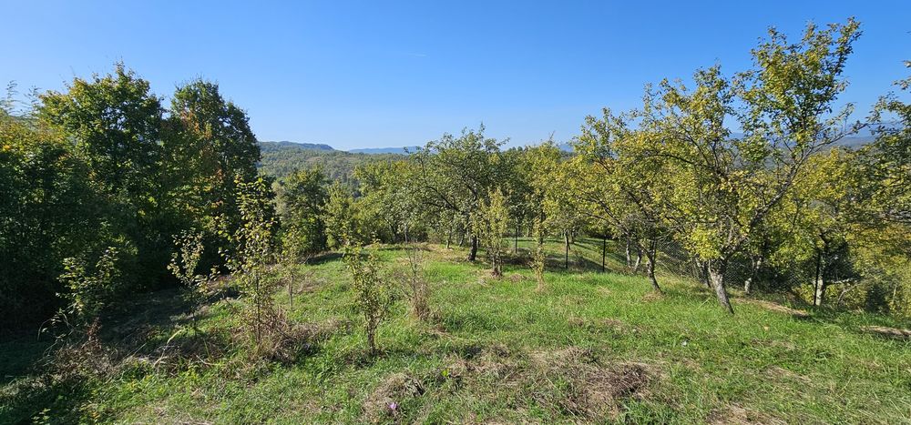 Teren de vanzare In Berislavesti - Calimanesti 4000mp