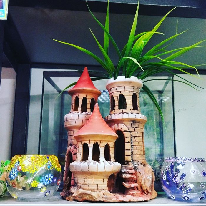 Аквариум 100л.Навои Торайгырова