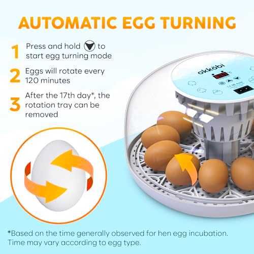 Okkobi M12 автоматичен инкубатор за 12–24 яйца с 360° изглед