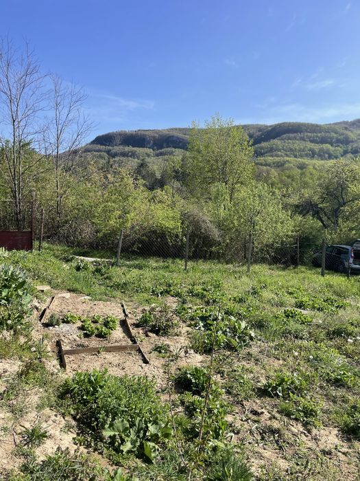 Продава се Къща в Габрово, Дядо Дянко - 500 кв.м за 13 €/кв.м - Снимка #5