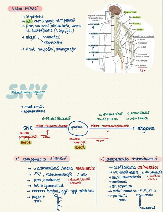 Notite admitere medicina - biologie