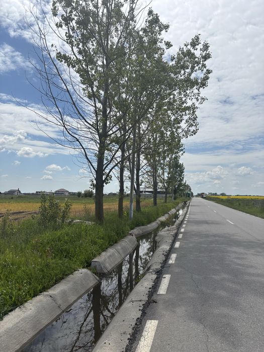 Teren intravilan/extravilan 20.000 mp situat la DC87 Pielesti, zona Peugeot