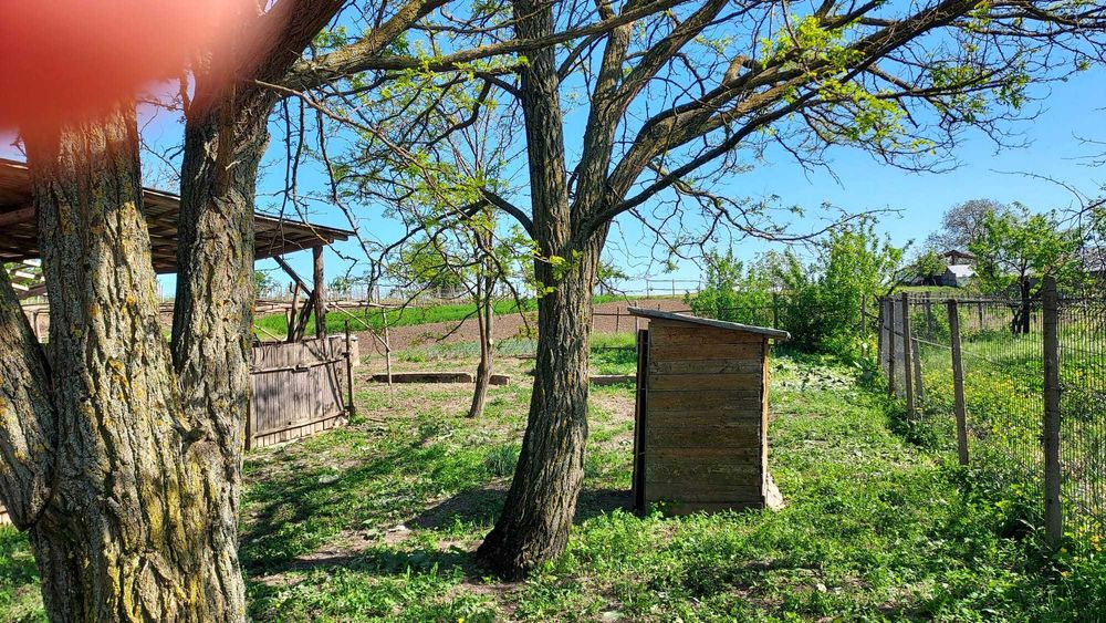 Casa de vanzare cu gradina in Vrancea