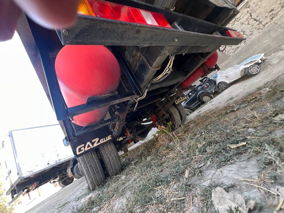 Gazel Bortli 4.20